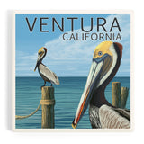 Ceramic Coaster Ventura, California, Brown Pelican